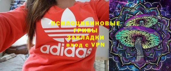 СК Зеленодольск