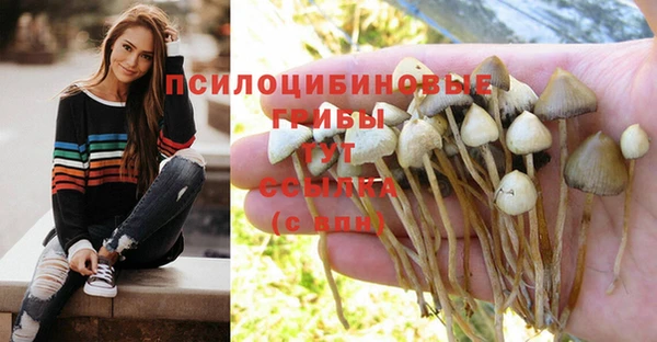метамфетамин Зеленокумск