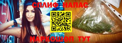 тгк Гусев