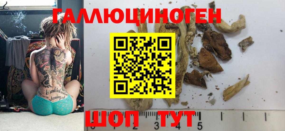Псилоцибиновые грибы мухоморы  Вход с VPN  Армавир 